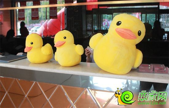 鹿城國際售樓部內(nèi)等待被送出的小黃鴨