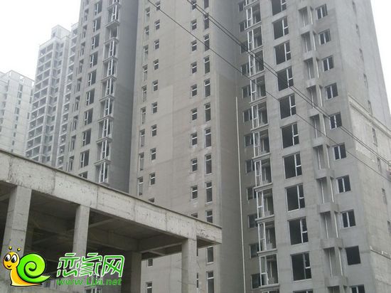 力天鳳凰城工地實(shí)景