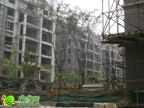 趙都華府花園洋房工地實(shí)景