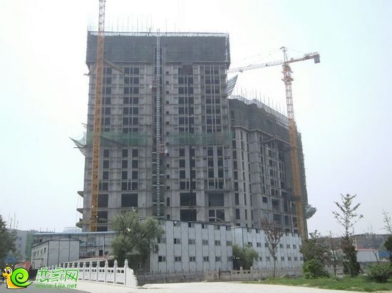 鹿城國際實景圖