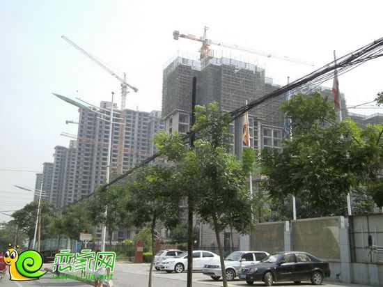 錦繡江南實(shí)景
