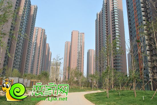 安居?xùn)|城小區(qū)實(shí)景