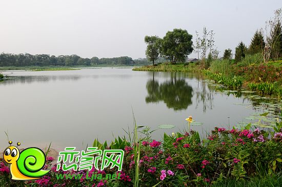 南湖公園實景圖