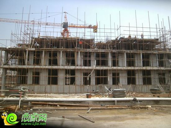 盛世鑫苑3#樓工地實(shí)景