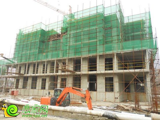 盛世鑫苑3#樓工地實(shí)景