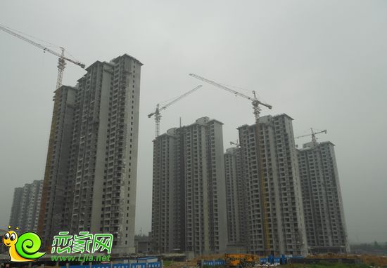 錦繡江南實(shí)景圖