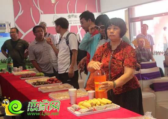 金世紀(jì)花園為到場(chǎng)嘉賓提供的冷餐