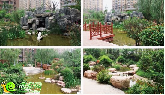 阿爾卡迪亞景觀實景圖