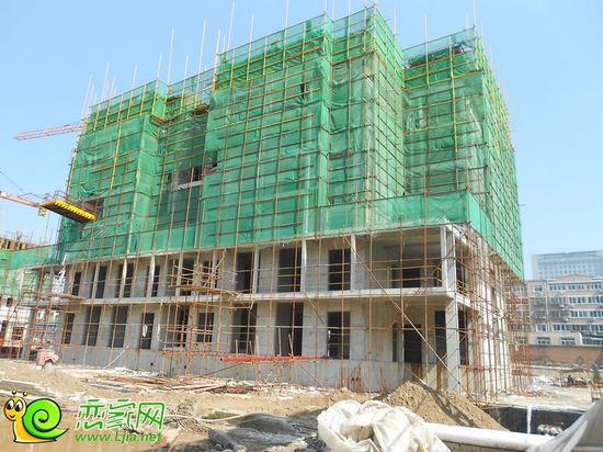 盛世鑫苑3#樓工地實景