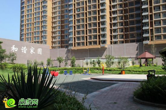 金世紀(jì)新城小區(qū)實(shí)景