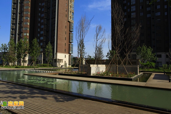 華信山水文苑實(shí)景圖