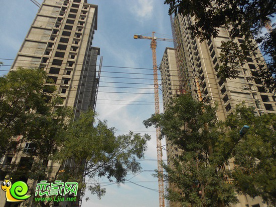 恒隆金豪庭實景圖