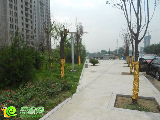 稽山御府天城沿沁河綠化帶