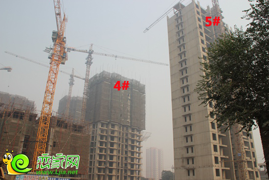 金色漫城實景圖