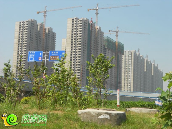北海莊園實景圖