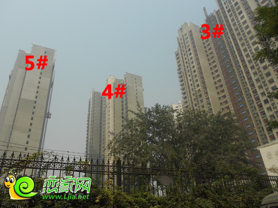 永華新城3#4#5#樓實景圖