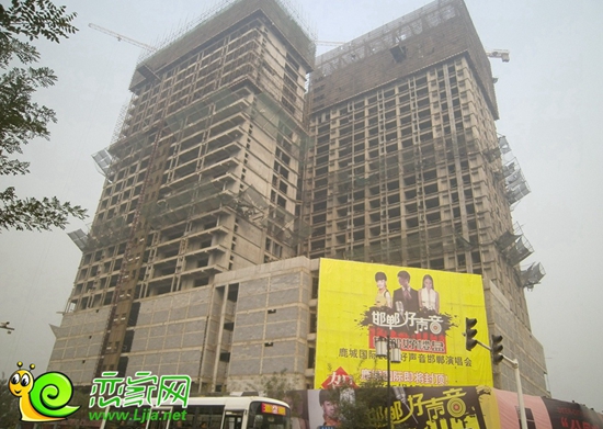 鹿城國際實景圖