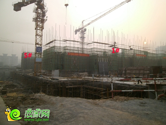 遠(yuǎn)洋新興公館1#5#樓出地面2層