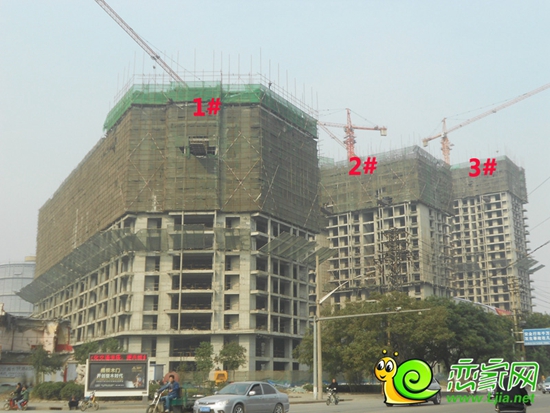 寶盛花語城工地實(shí)景