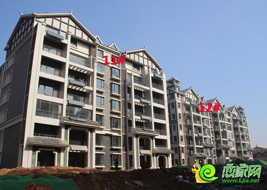 趙都華府工地實(shí)景