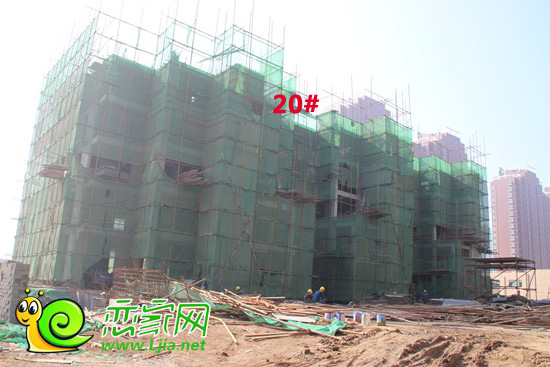 趙都華府工地實(shí)景
