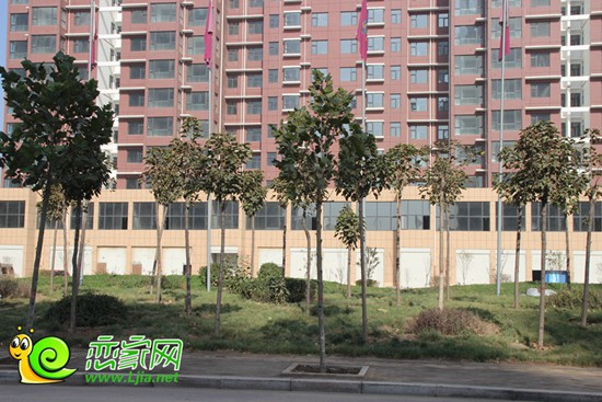 心海假日工地實景