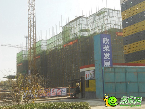 遠(yuǎn)洋新興公館5#樓工地實(shí)景