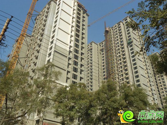 恒隆金豪庭實(shí)景圖