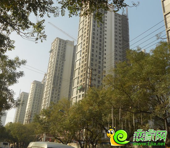 恒隆金豪庭實(shí)景圖