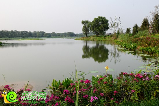 南湖風(fēng)光