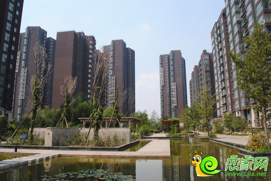 華信山水文苑實(shí)景圖