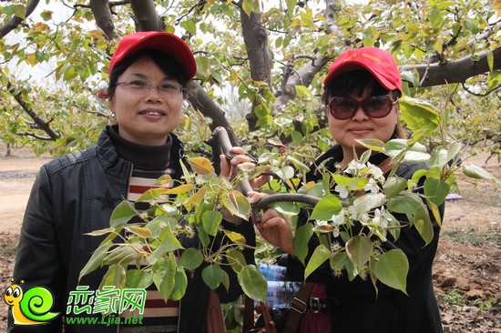 網(wǎng)友暢游梨園