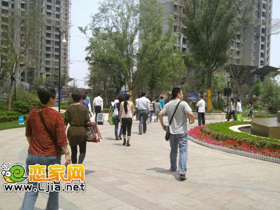 網友們參觀小區(qū)內景觀