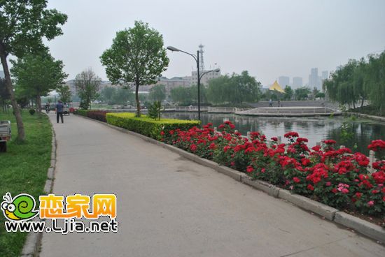羅城頭公園一角