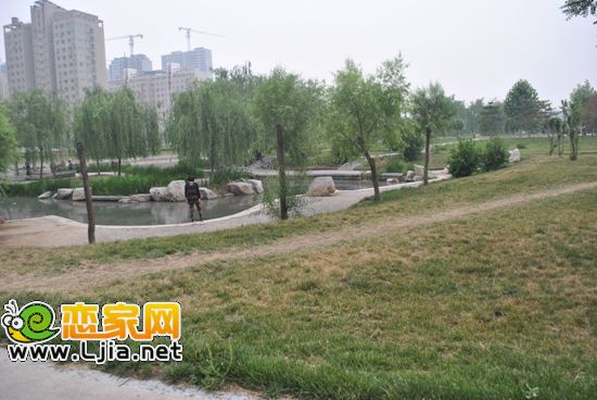羅城頭公園一角