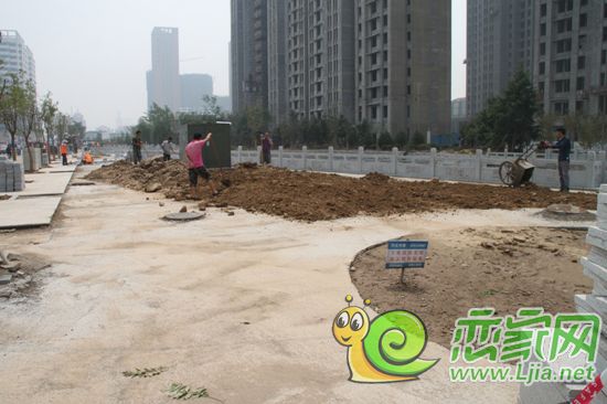 沿河北岸正在做綠化