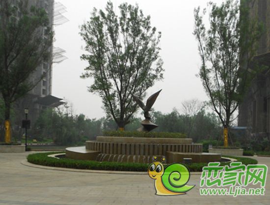 鳳凰鼻祖
