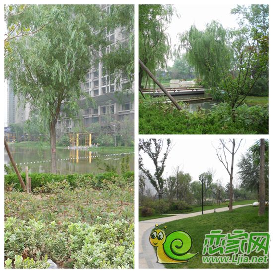 小區(qū)內(nèi)景觀
