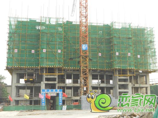6#工程進度