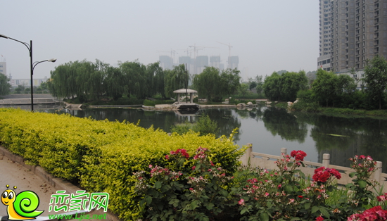 金世紀(jì)花園旁景觀