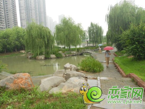 公園一角