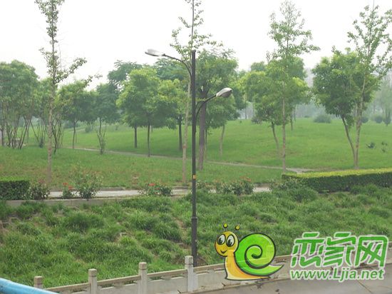 公園景觀