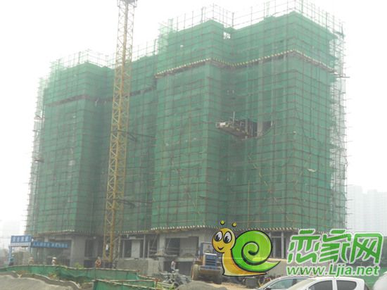 陽光苑7#樓工程進(jìn)度實(shí)景圖