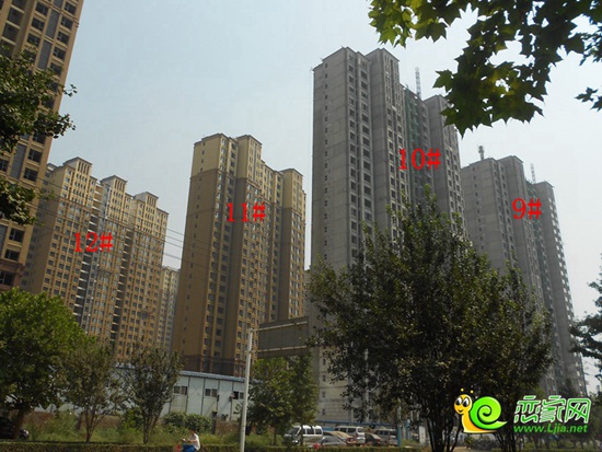 阿爾卡迪亞藍天城工程進度實景圖