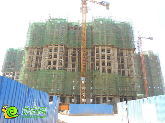陽光苑4#樓工程進(jìn)度圖