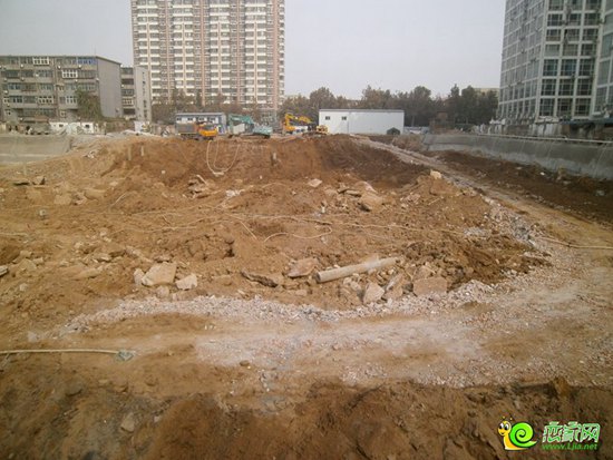 龍騰萬(wàn)象實(shí)景圖