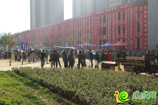 等候領(lǐng)取房鑰匙的業(yè)主們