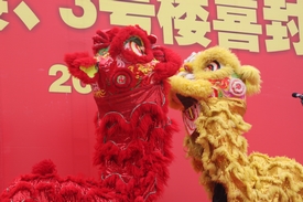 舞獅的精彩表演