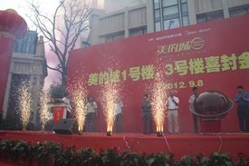 美麗的煙花