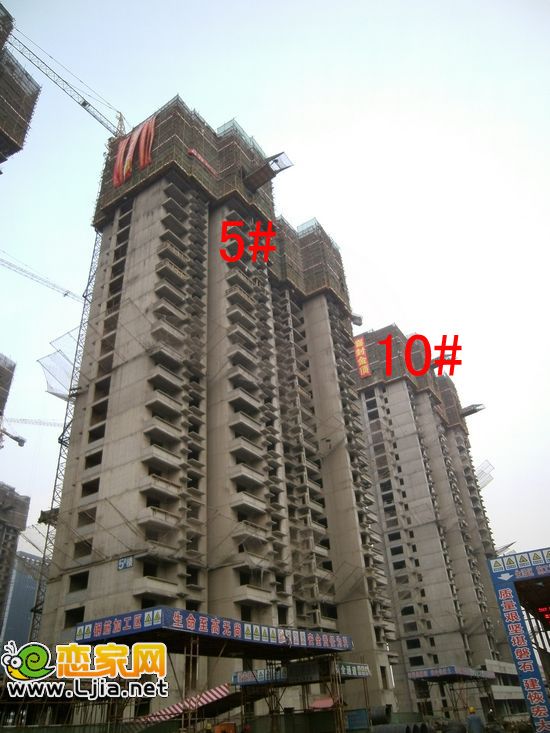 叢臺花園5#10#樓已封頂